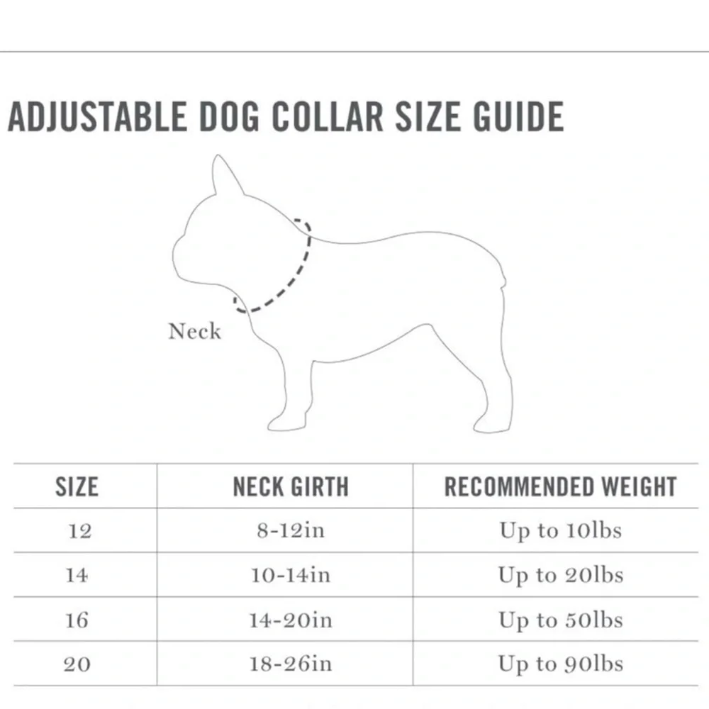 Martha Stewart Adjustable Nylon Collar Dog Color Dress Coral Size 16/M